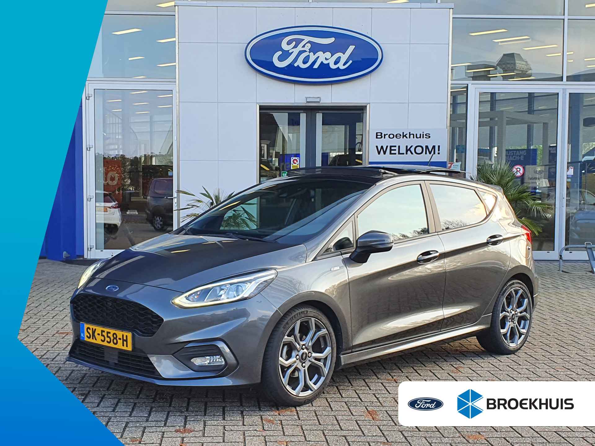 Ford Fiesta BOVAG 40-Puntencheck