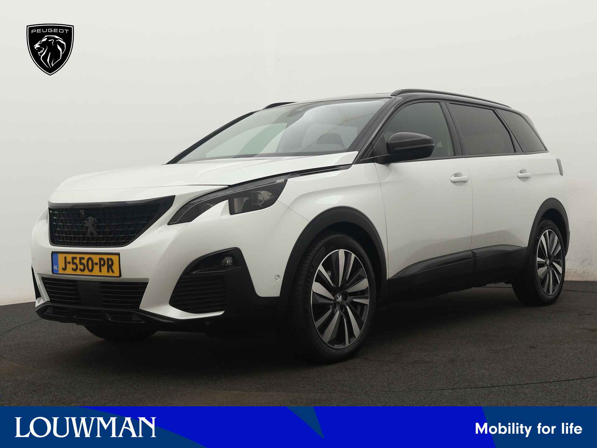 Peugeot 5008 BOVAG 40-Puntencheck