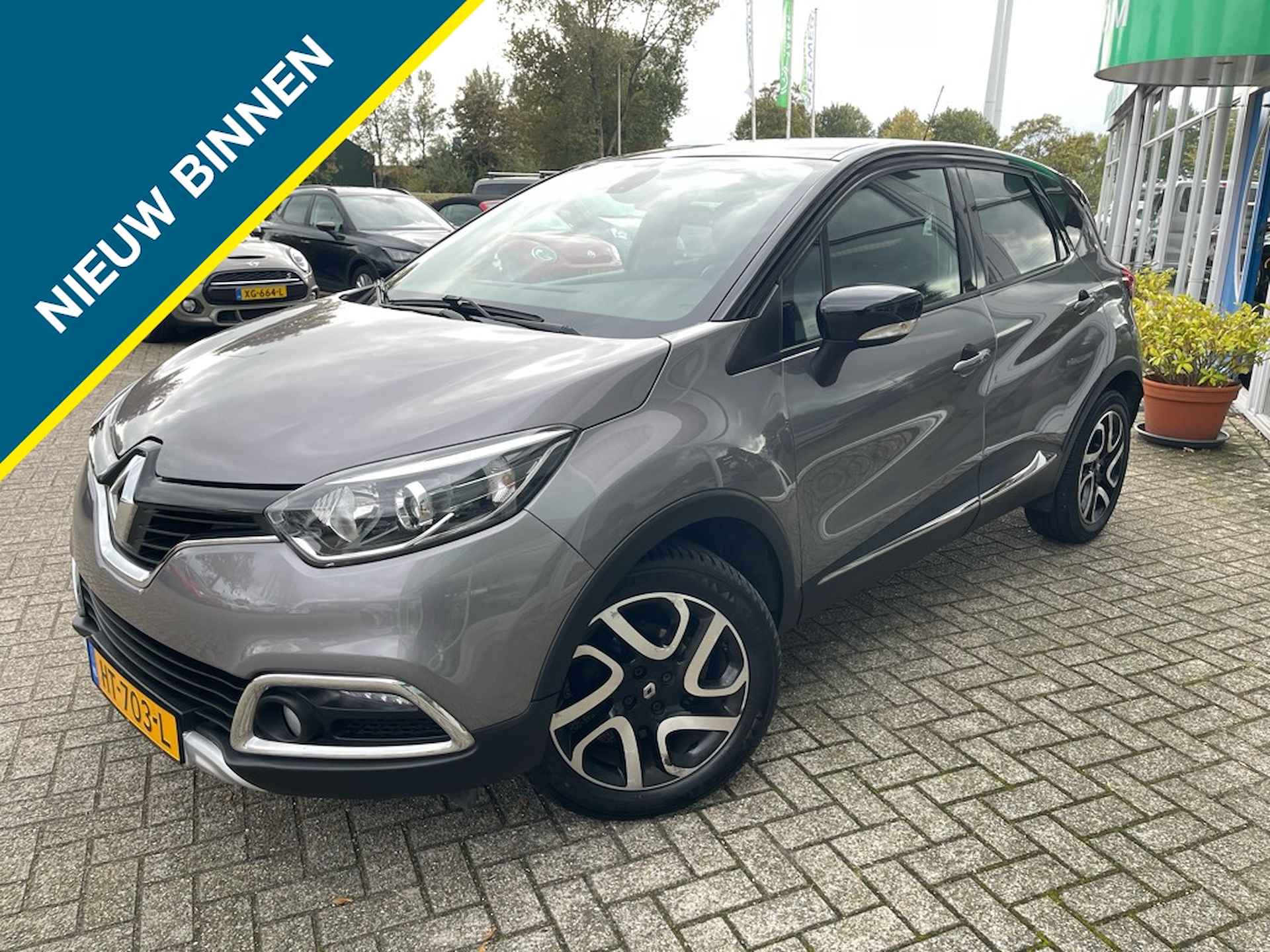 Renault Captur BOVAG 40-Puntencheck