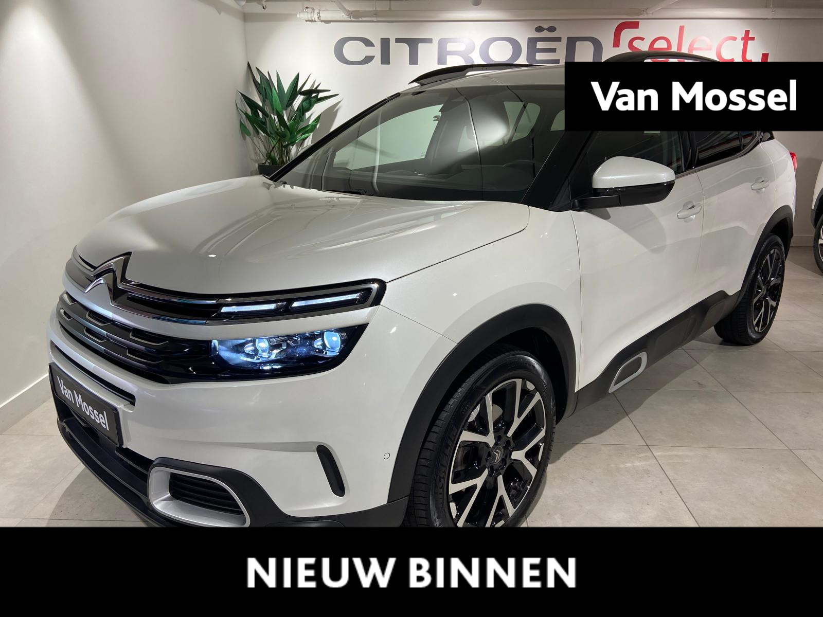 Citroen C5 Aircross 1.2 PureTech Shine NAVI | STOELVERWARMING | PARKEERCAMERA RONDOM