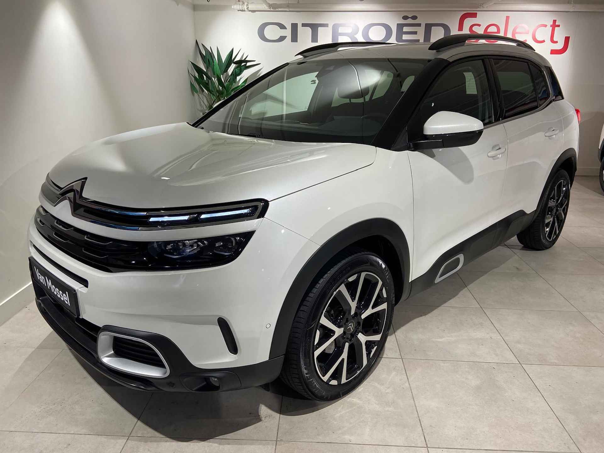 Citroen C5 Aircross 1.2 PureTech Shine NAVI | STOELVERWARMING | PARKEERCAMERA RONDOM - 25/33