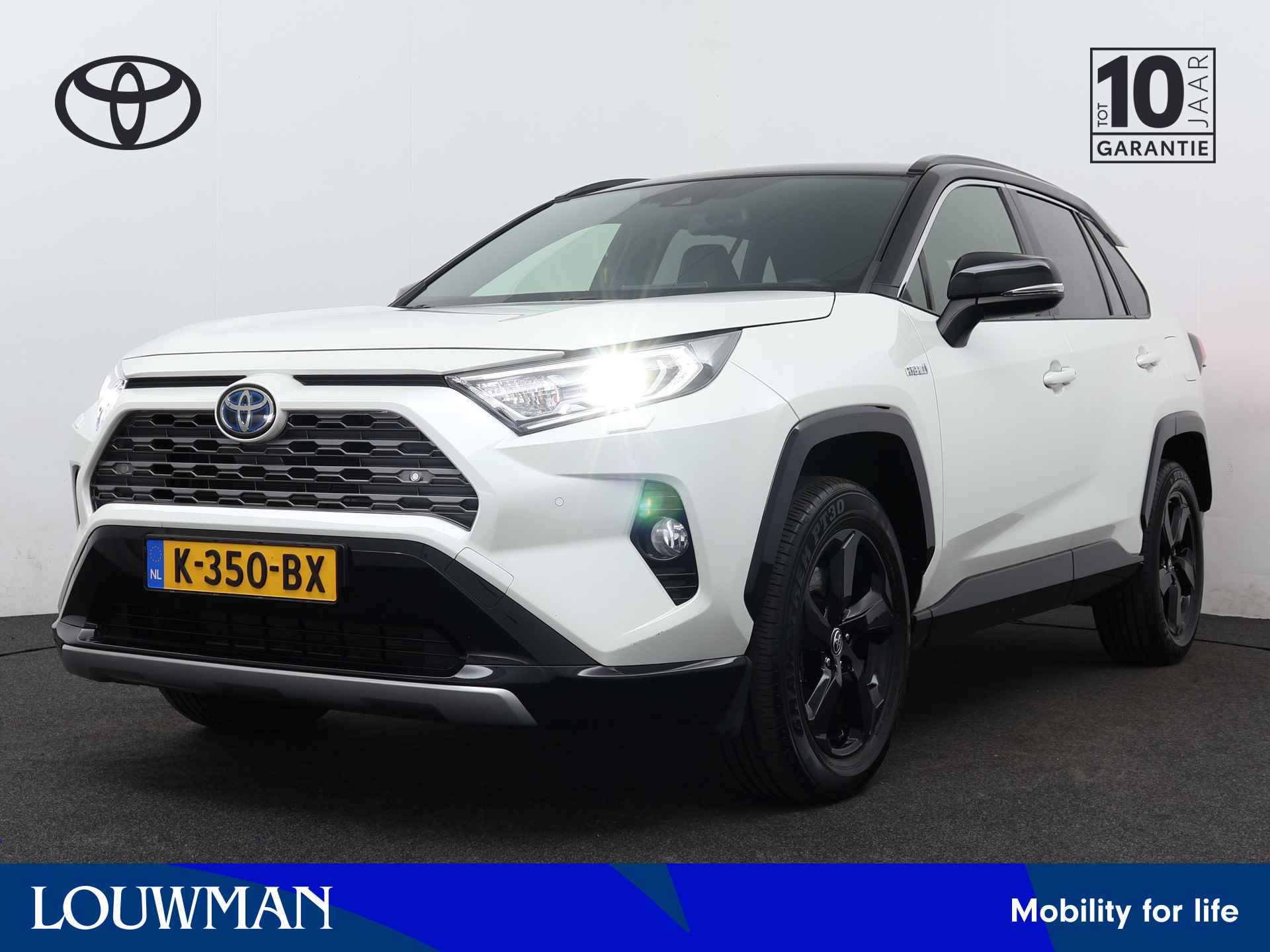 Toyota RAV4 BOVAG 40-Puntencheck