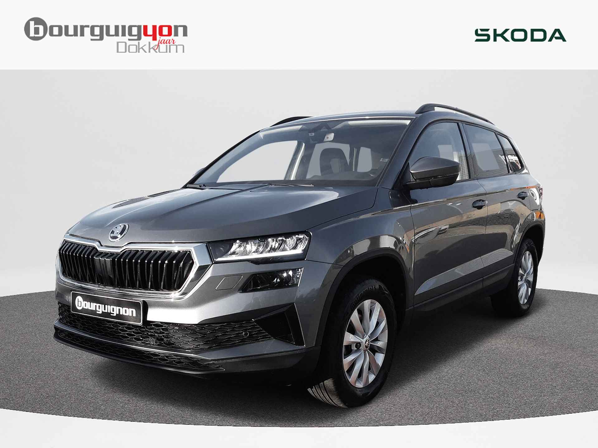 Škoda Karoq BOVAG 40-Puntencheck