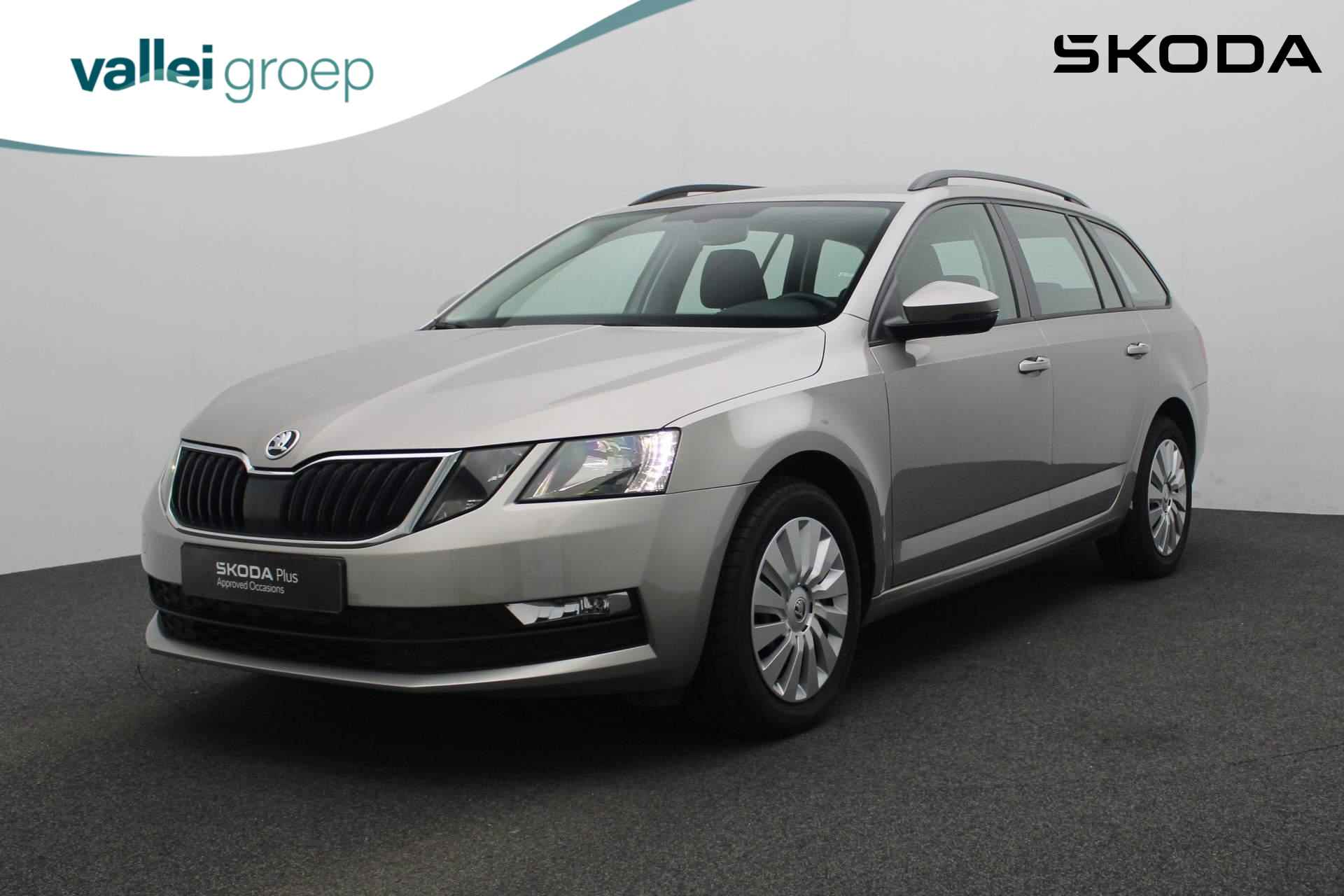 Škoda Octavia BOVAG 40-Puntencheck