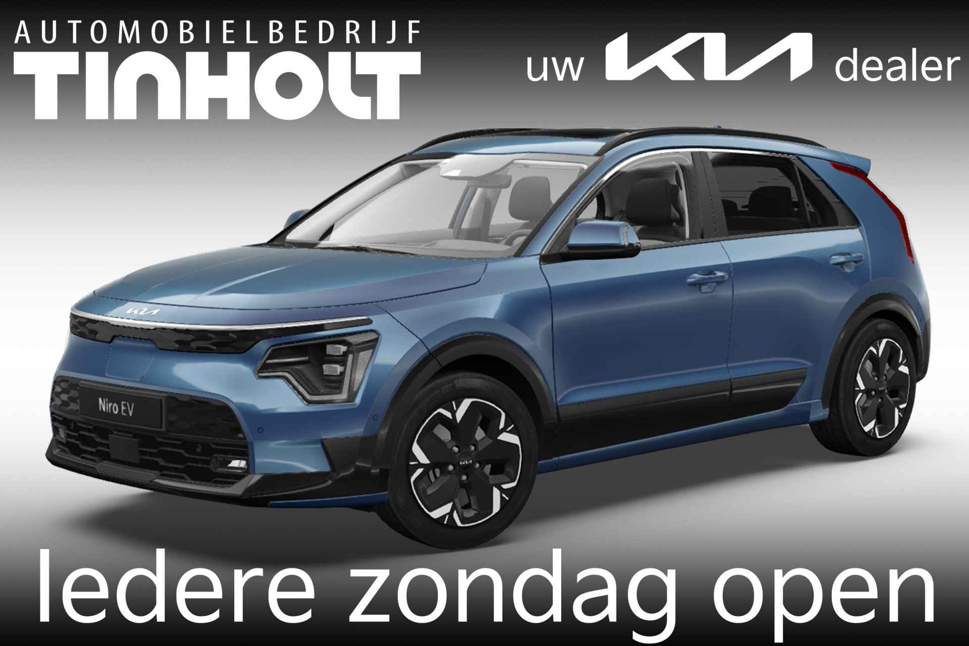 Kia e-Niro BOVAG 40-Puntencheck