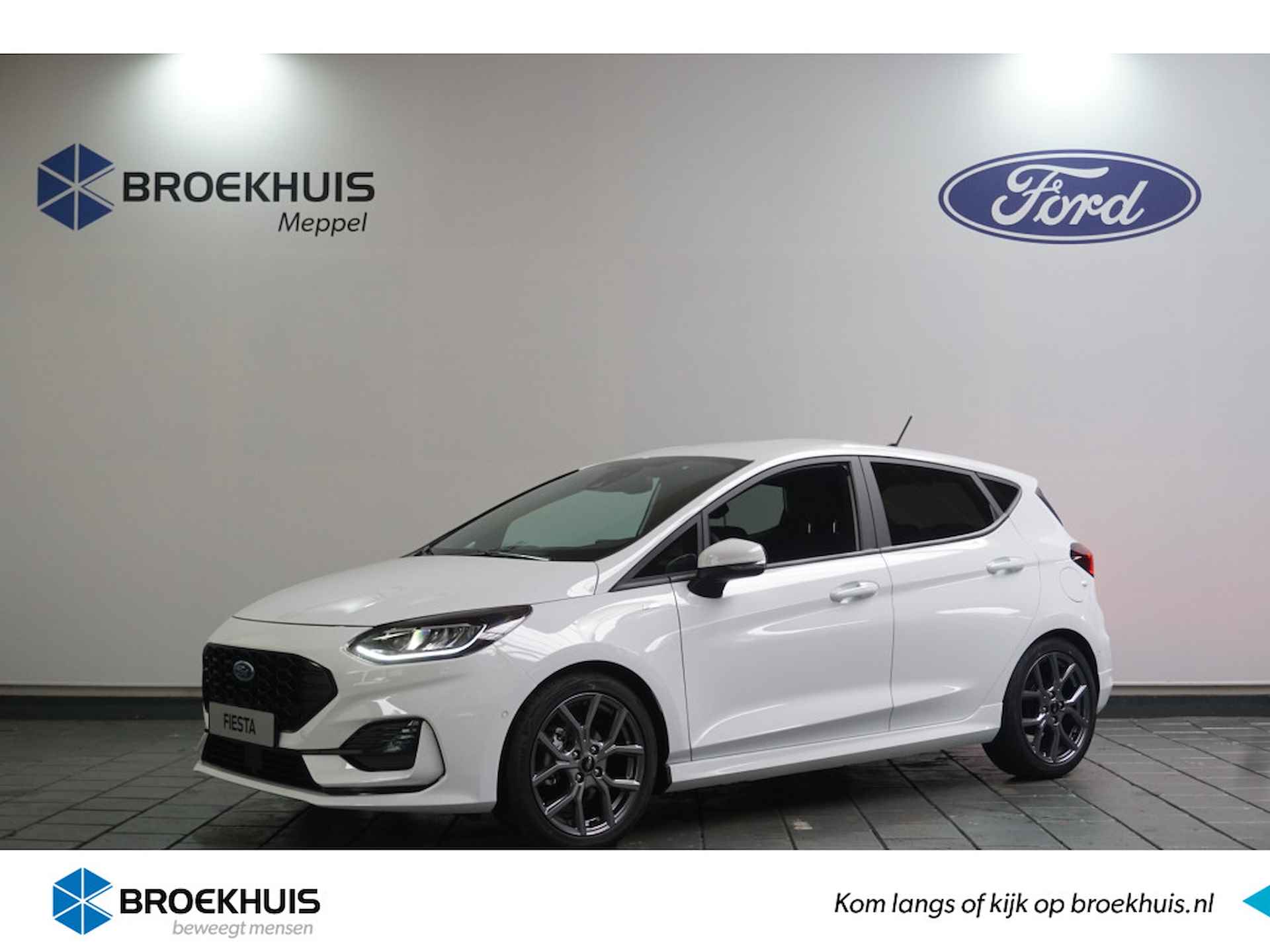 Ford Fiesta BOVAG 40-Puntencheck