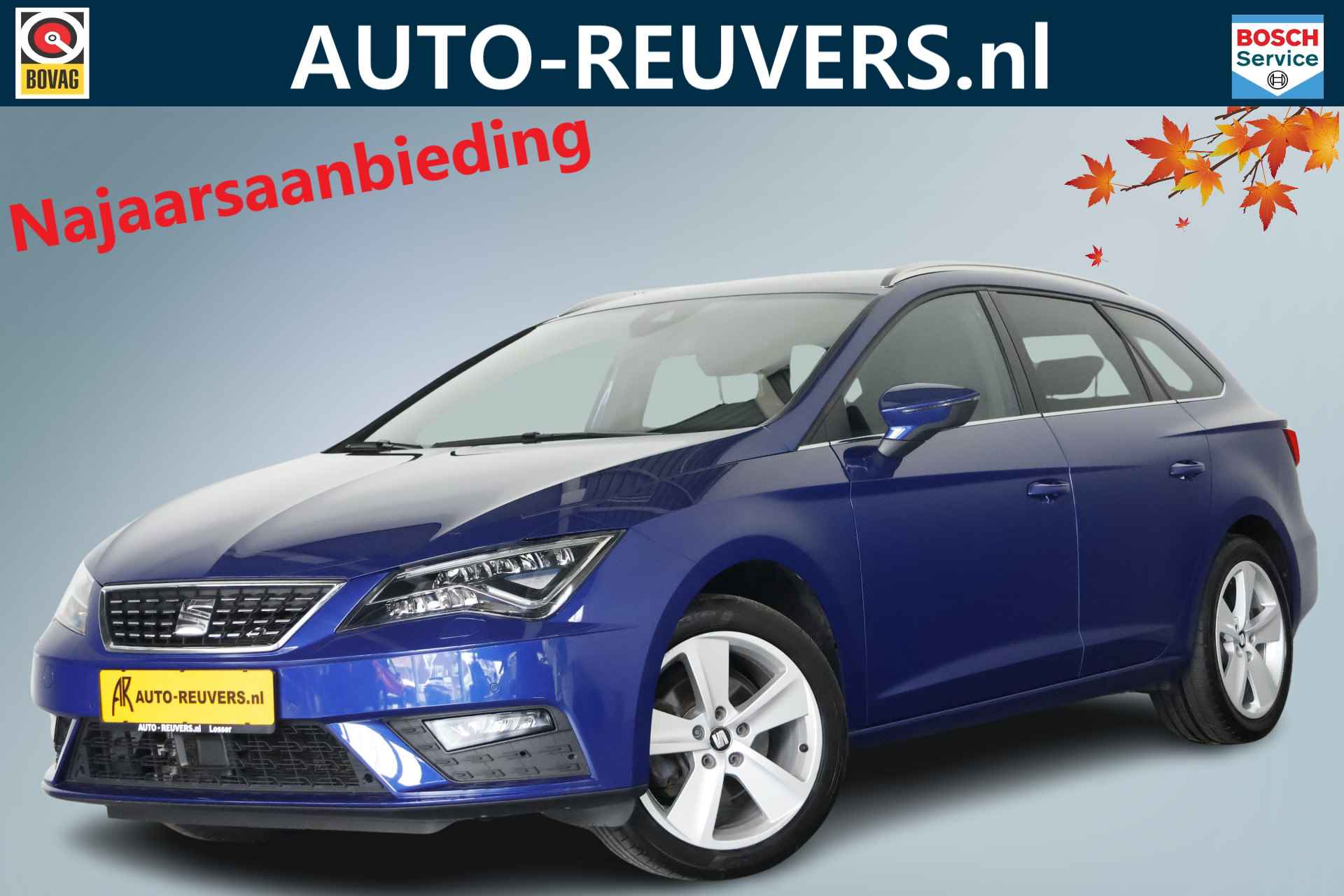 Seat Leon BOVAG 40-Puntencheck