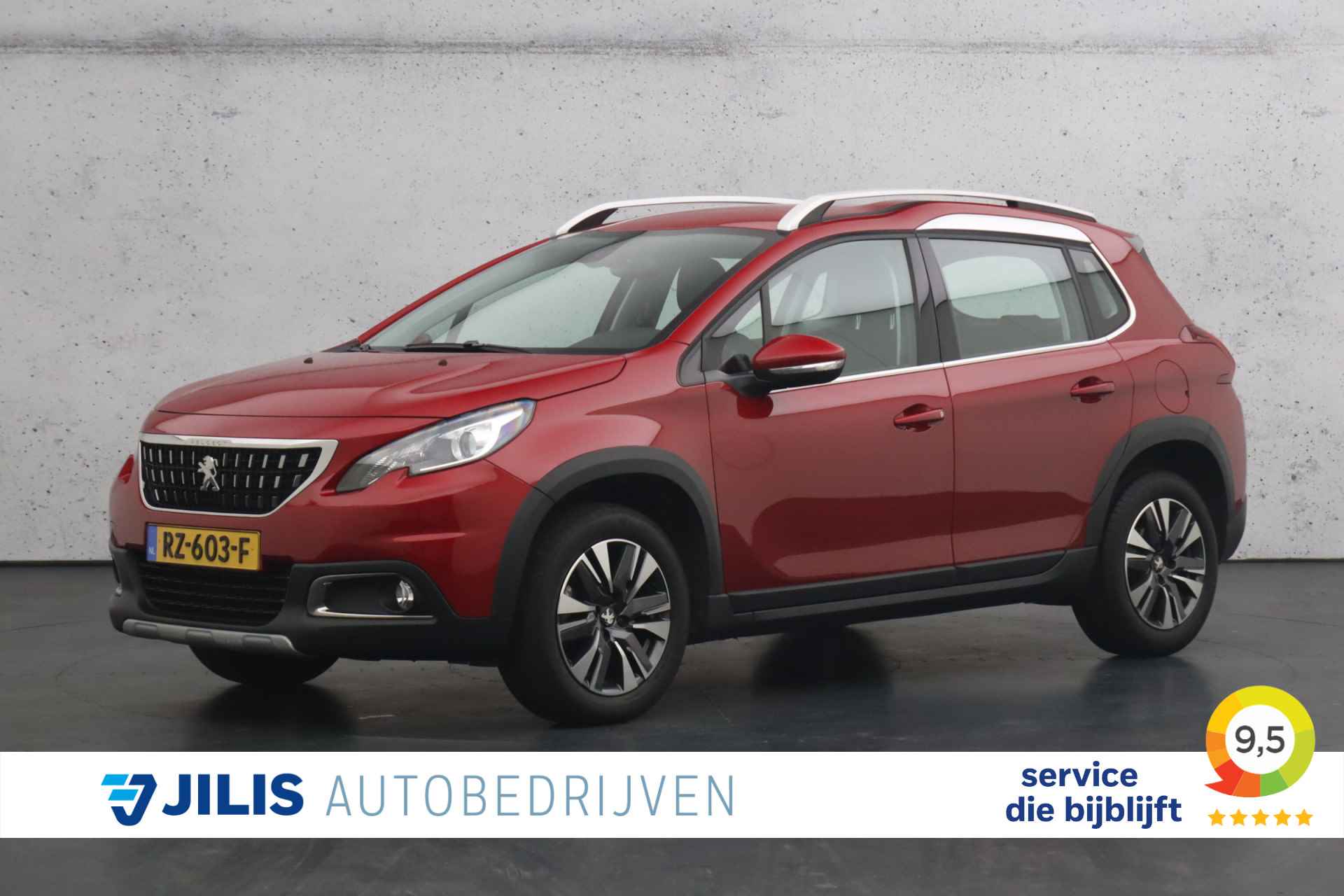 Peugeot 2008 BOVAG 40-Puntencheck