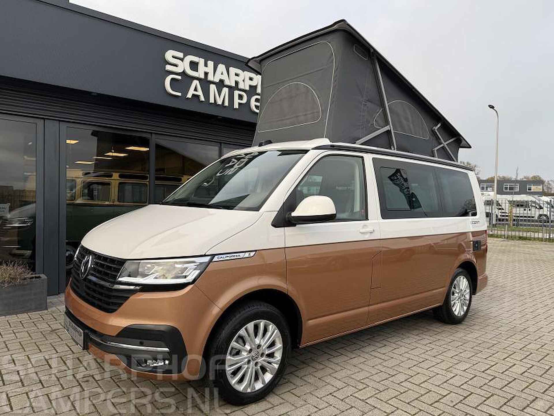 Volkswagen T6 California  6.1 OCEAN veel opties! - 18/20