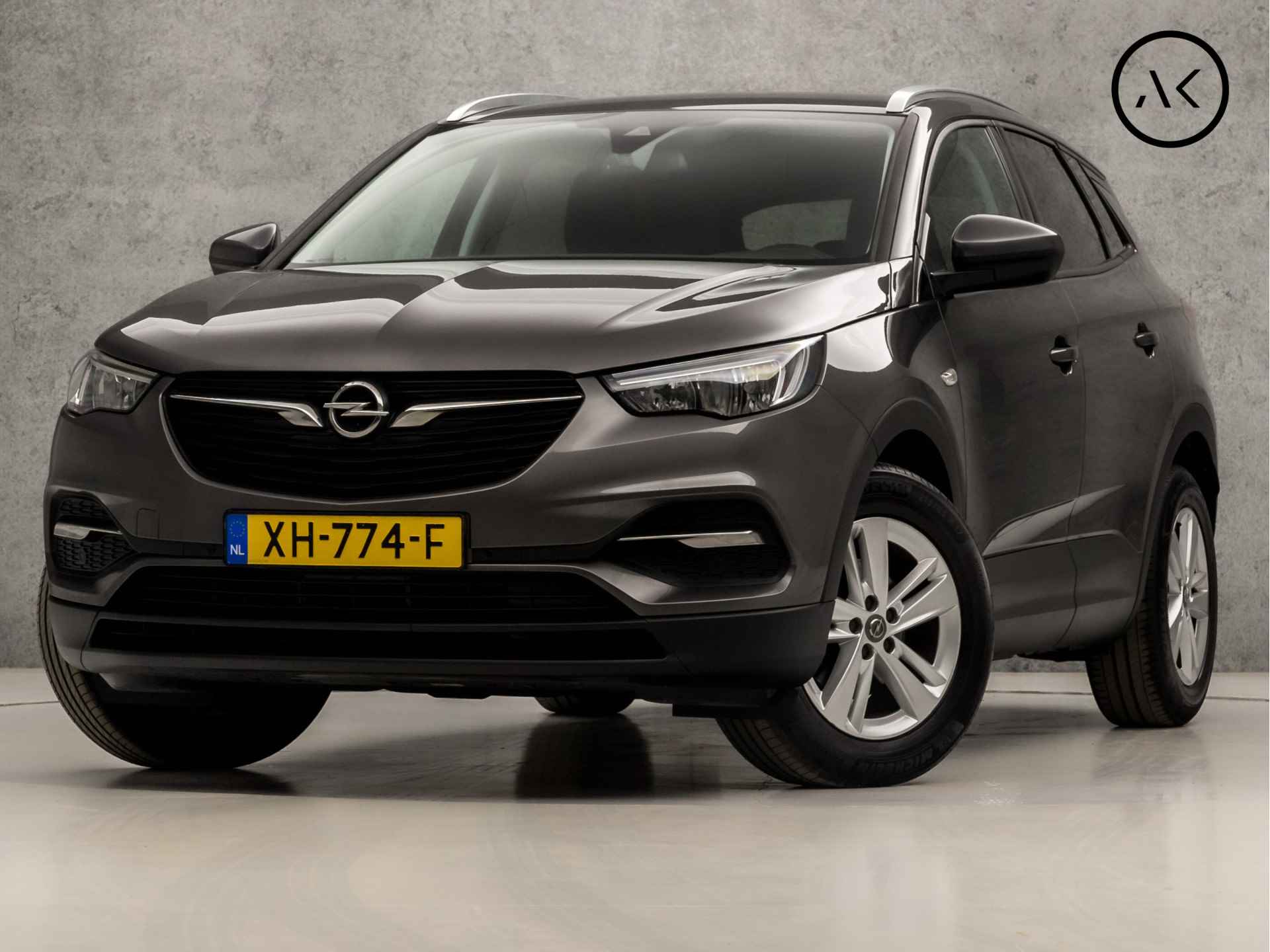 Opel Grandland X BOVAG 40-Puntencheck