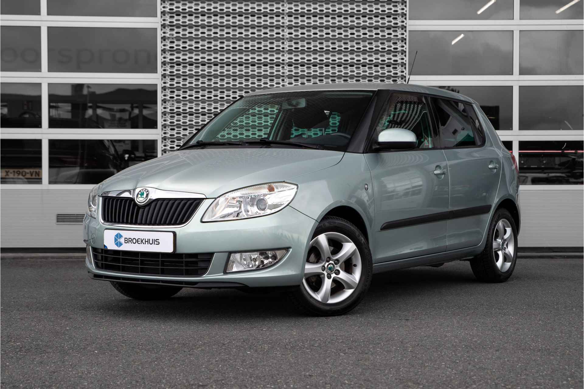 Škoda Fabia BOVAG 40-Puntencheck