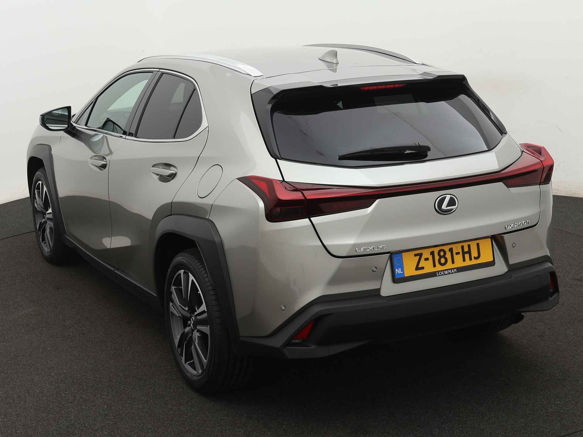 Lexus UX 250h Business Line | Demo | Parkeersensoren | Connected Services | Keyless Entry | - 17/45