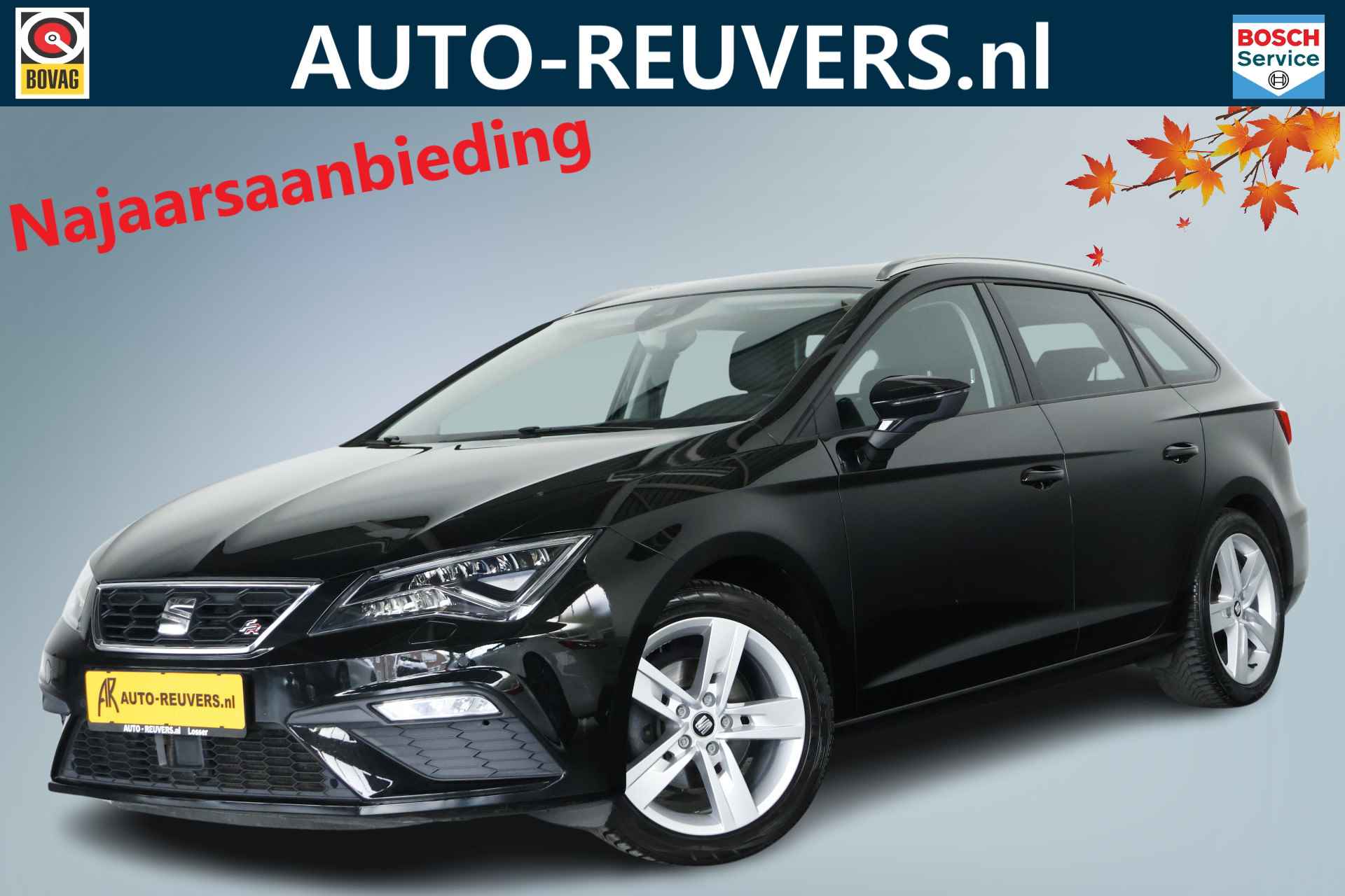 Seat Leon BOVAG 40-Puntencheck