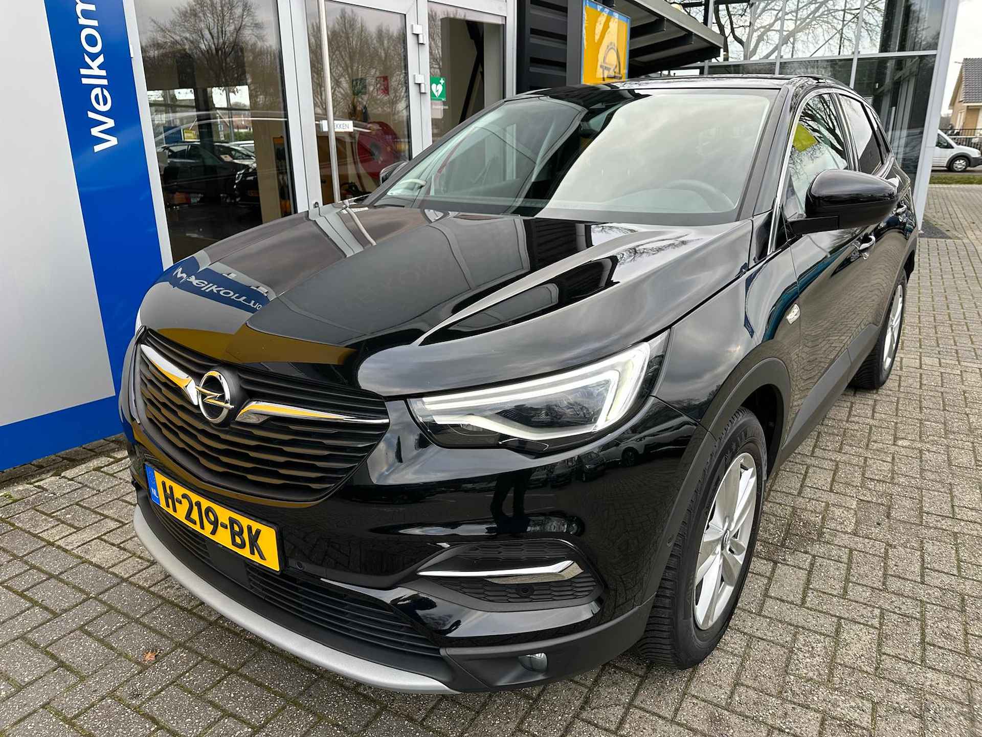 Opel Grandland X 1.2 Turbo 130PK Business Executive | TREKHAAK| NAVIGATIE| PARKEERSENSOREN V+A| CRUISE CONTROL| - 3/36