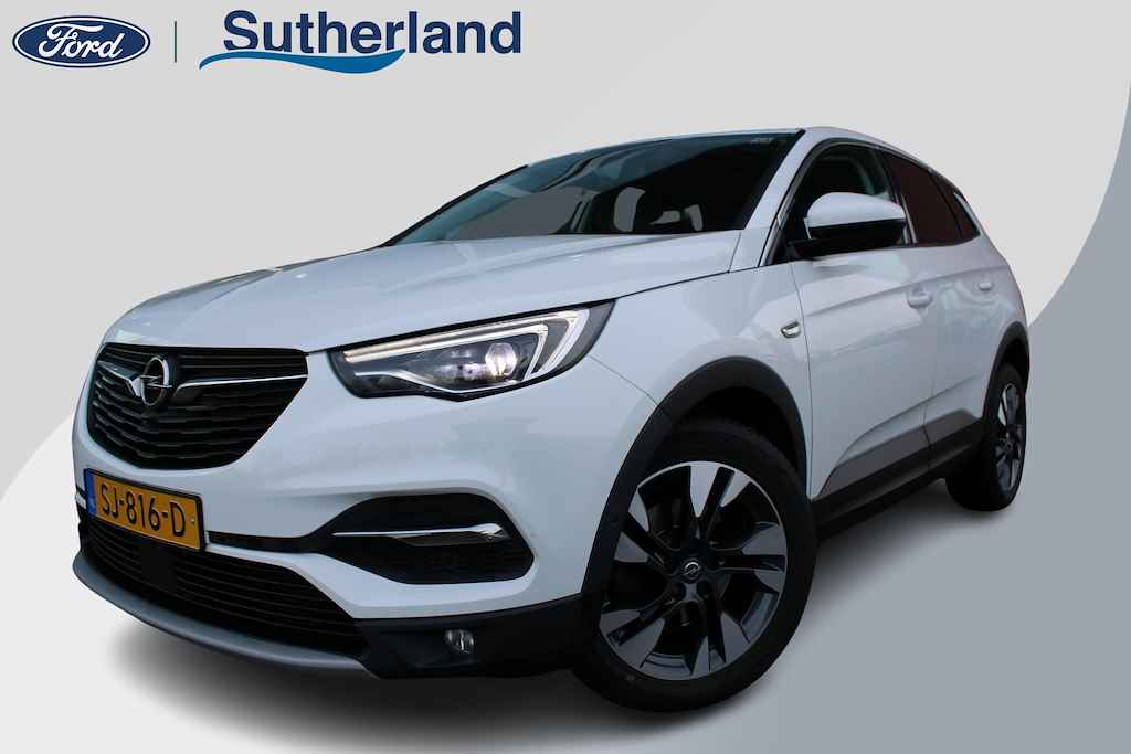 Opel Grandland X BOVAG 40-Puntencheck