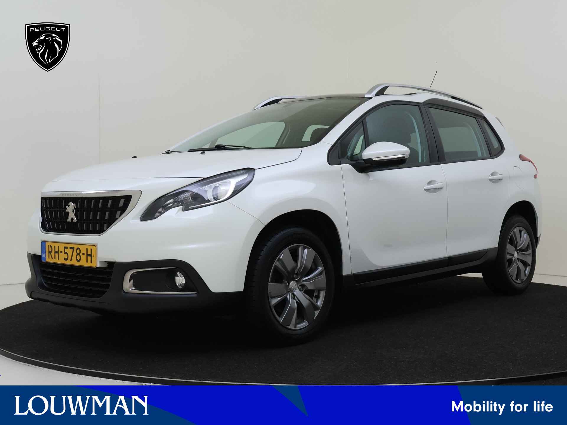 Peugeot 2008 BOVAG 40-Puntencheck