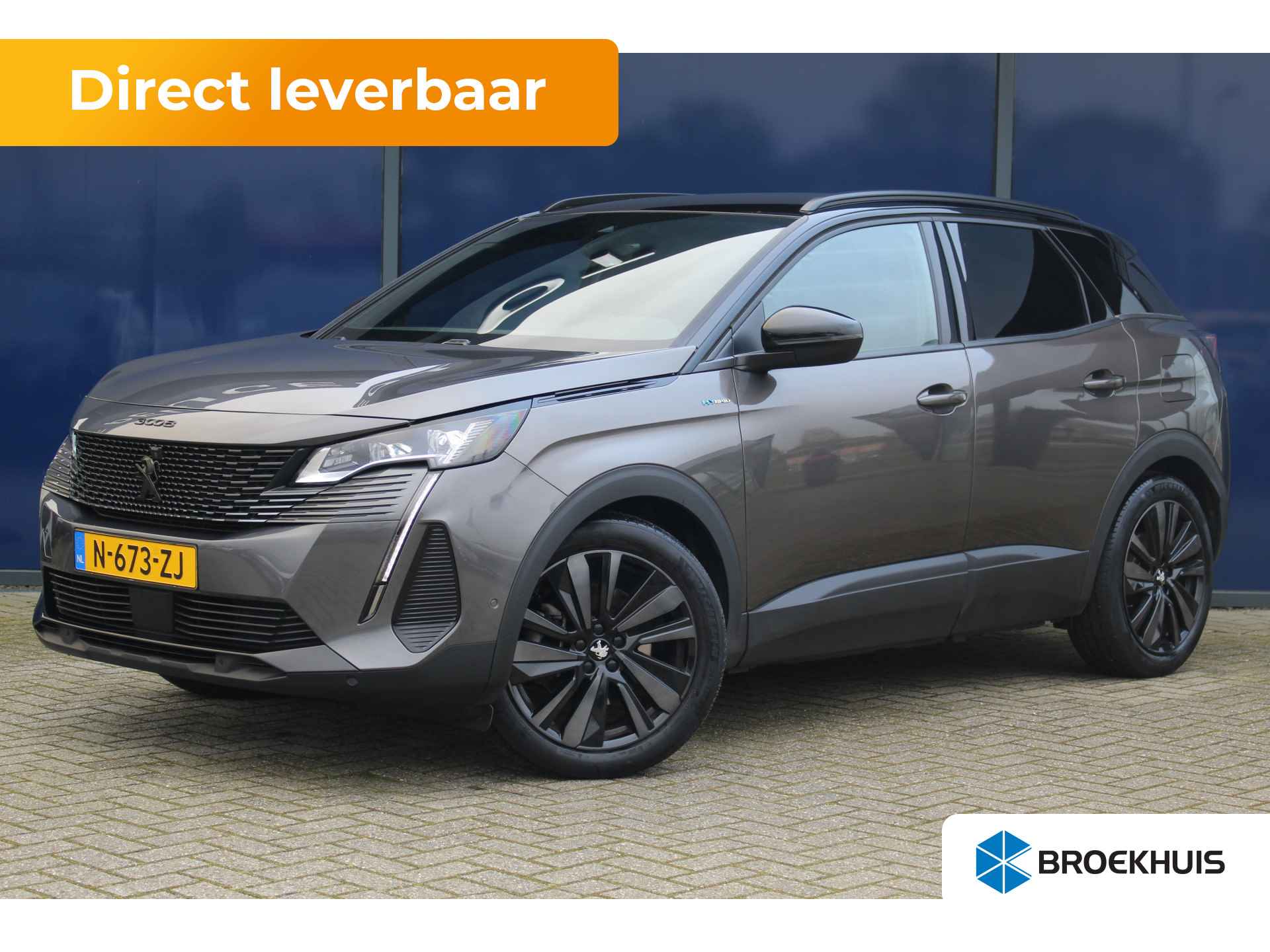 Peugeot 3008 BOVAG 40-Puntencheck