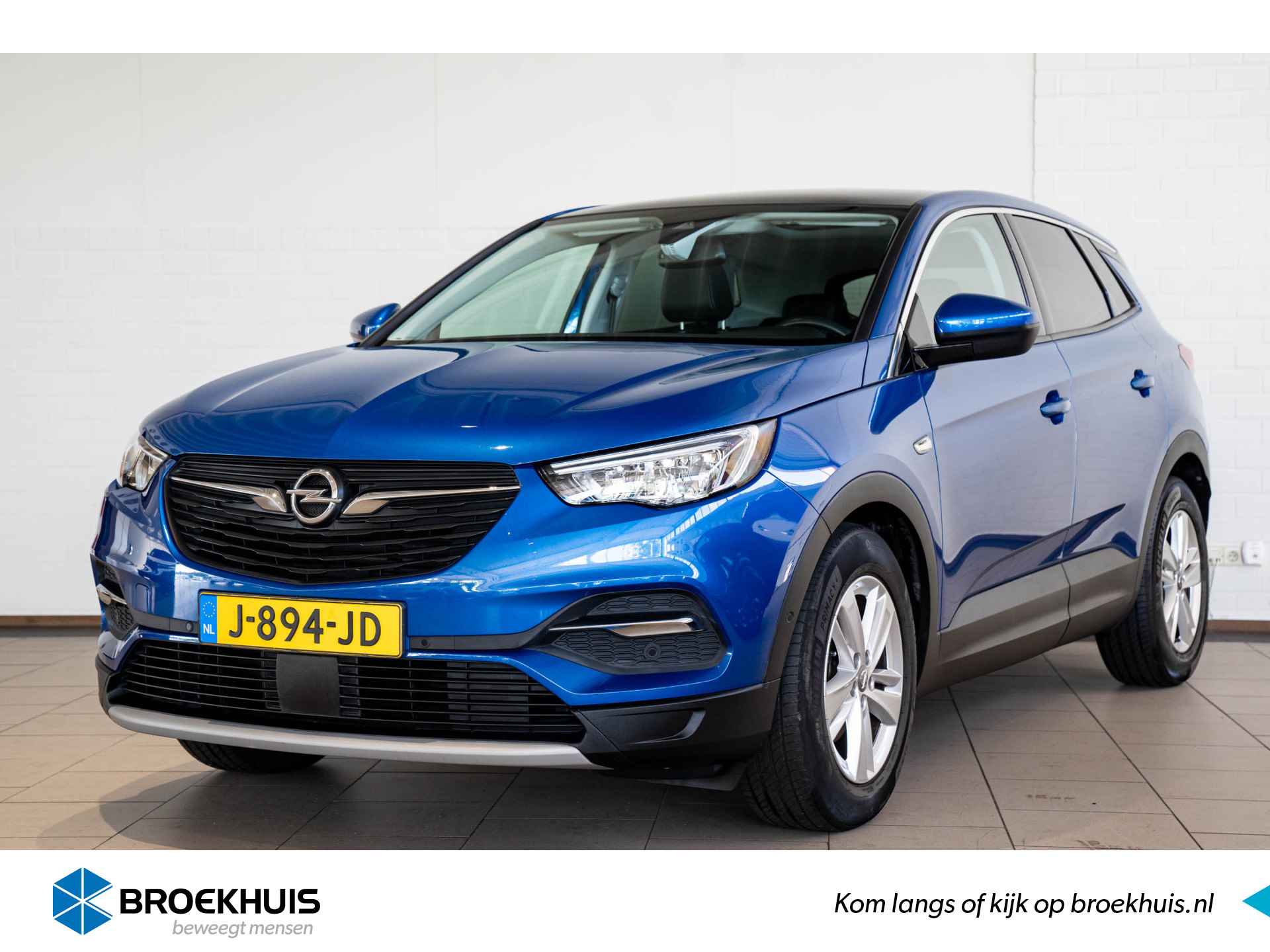 Opel Grandland X BOVAG 40-Puntencheck