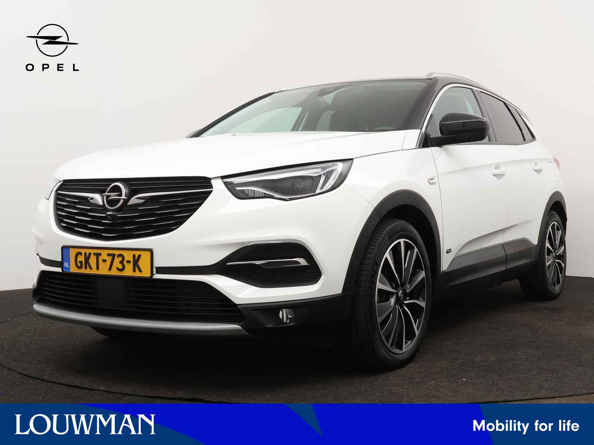 Opel Grandland X BOVAG 40-Puntencheck