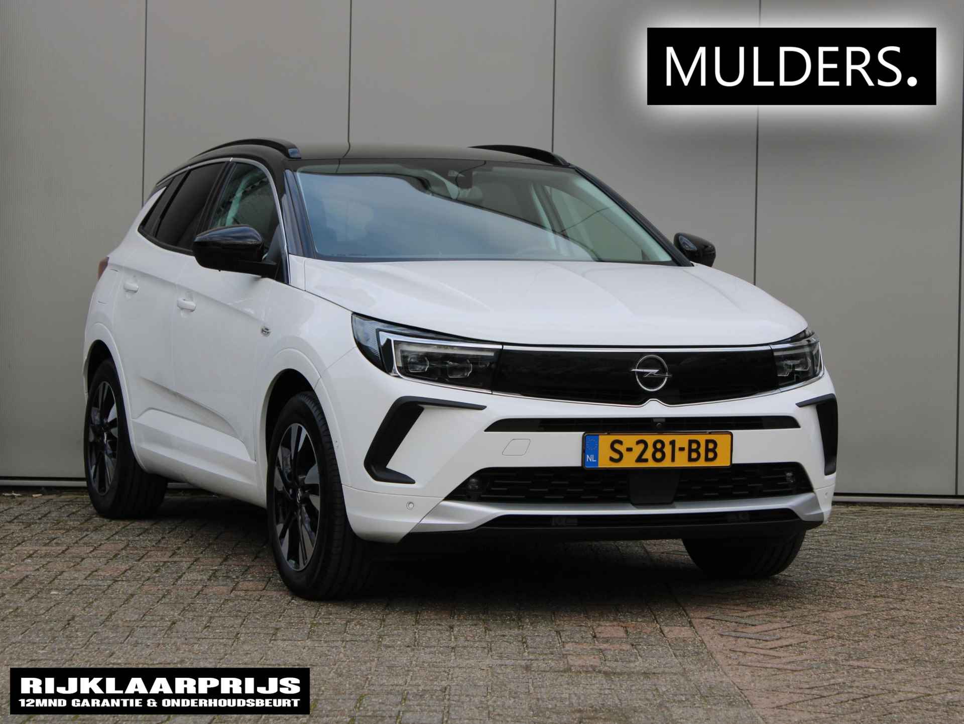 Opel Grandland X BOVAG 40-Puntencheck