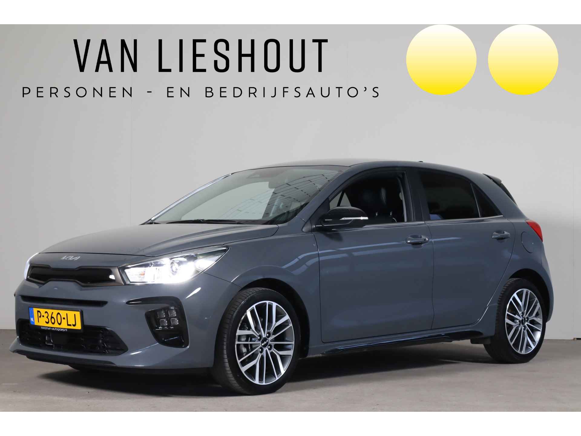 Kia Rio BOVAG 40-Puntencheck