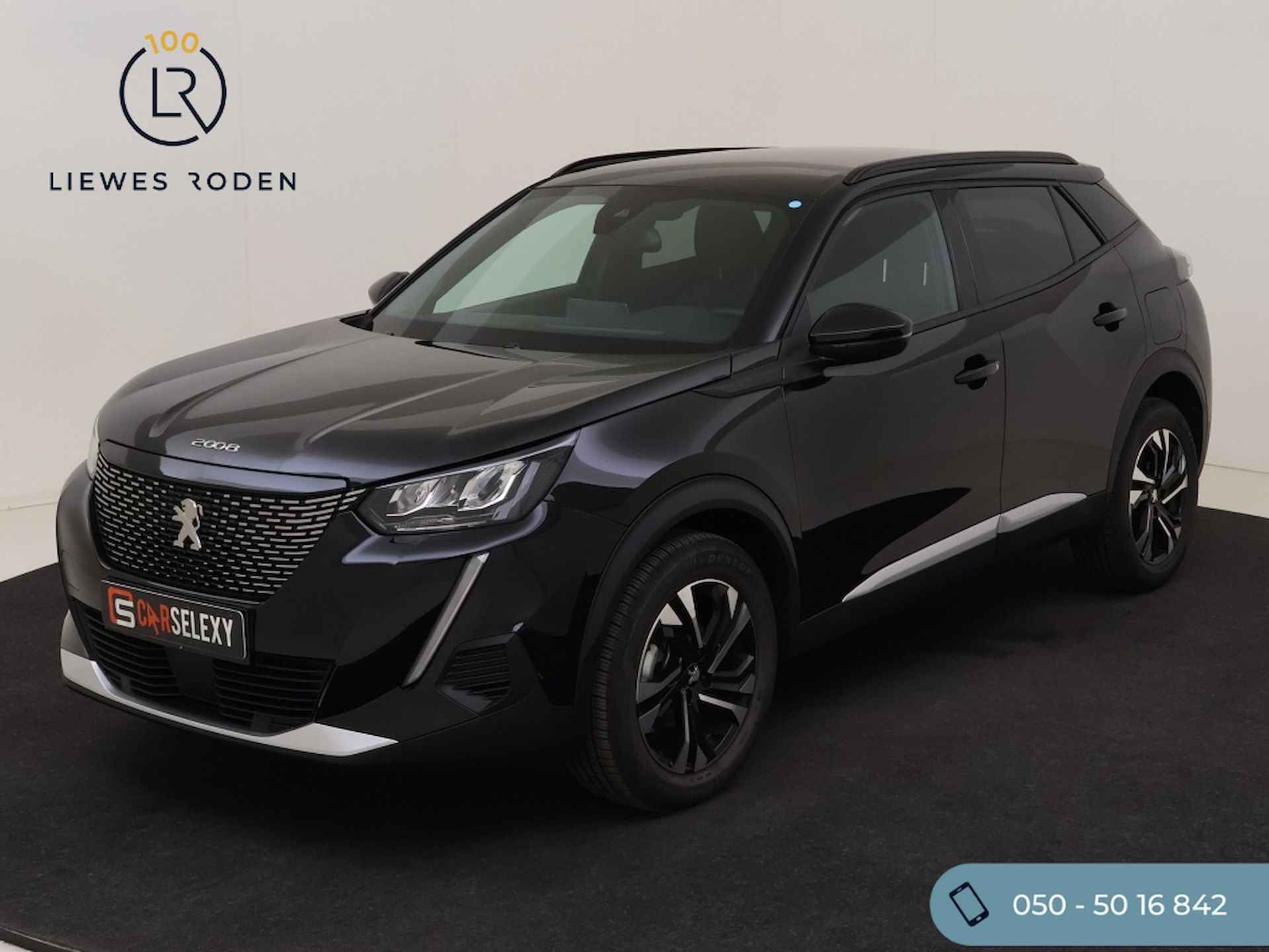 Peugeot 2008 BOVAG 40-Puntencheck