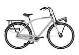 GAZELLE HeavyDutyNL Heren Grey 49cm 2023