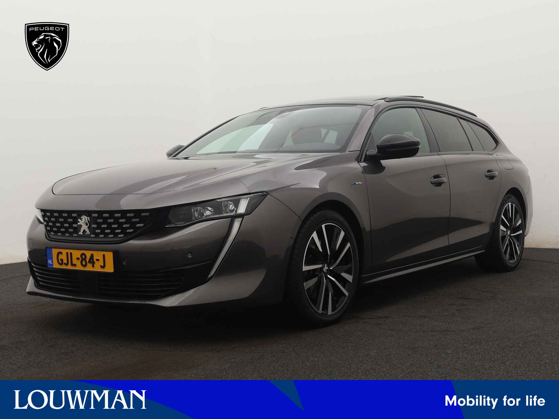 Peugeot 508 BOVAG 40-Puntencheck