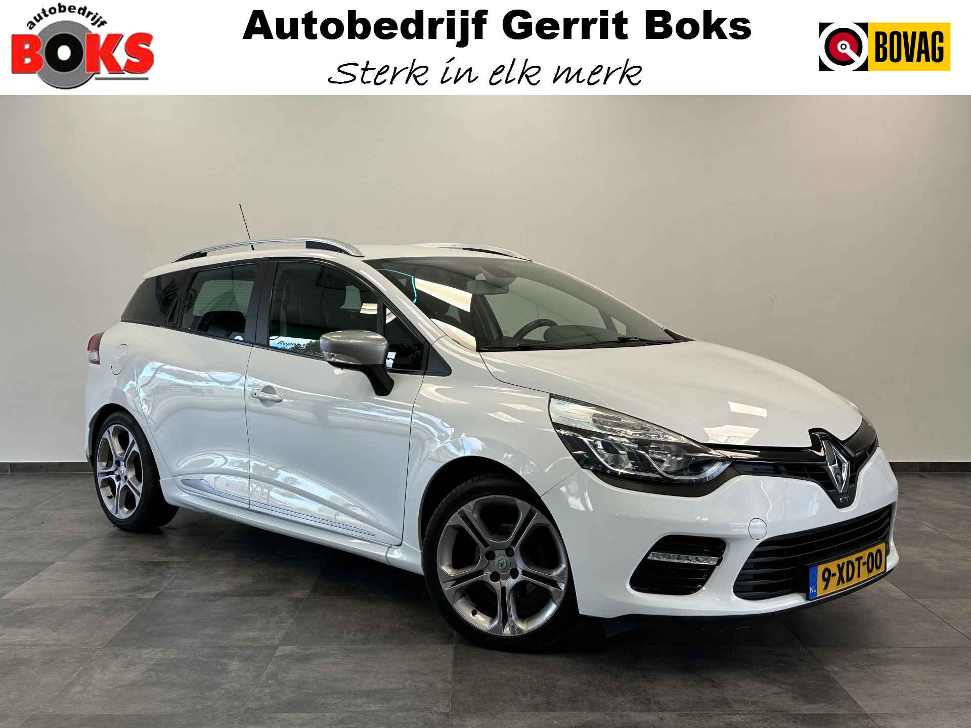 Renault Clio BOVAG 40-Puntencheck