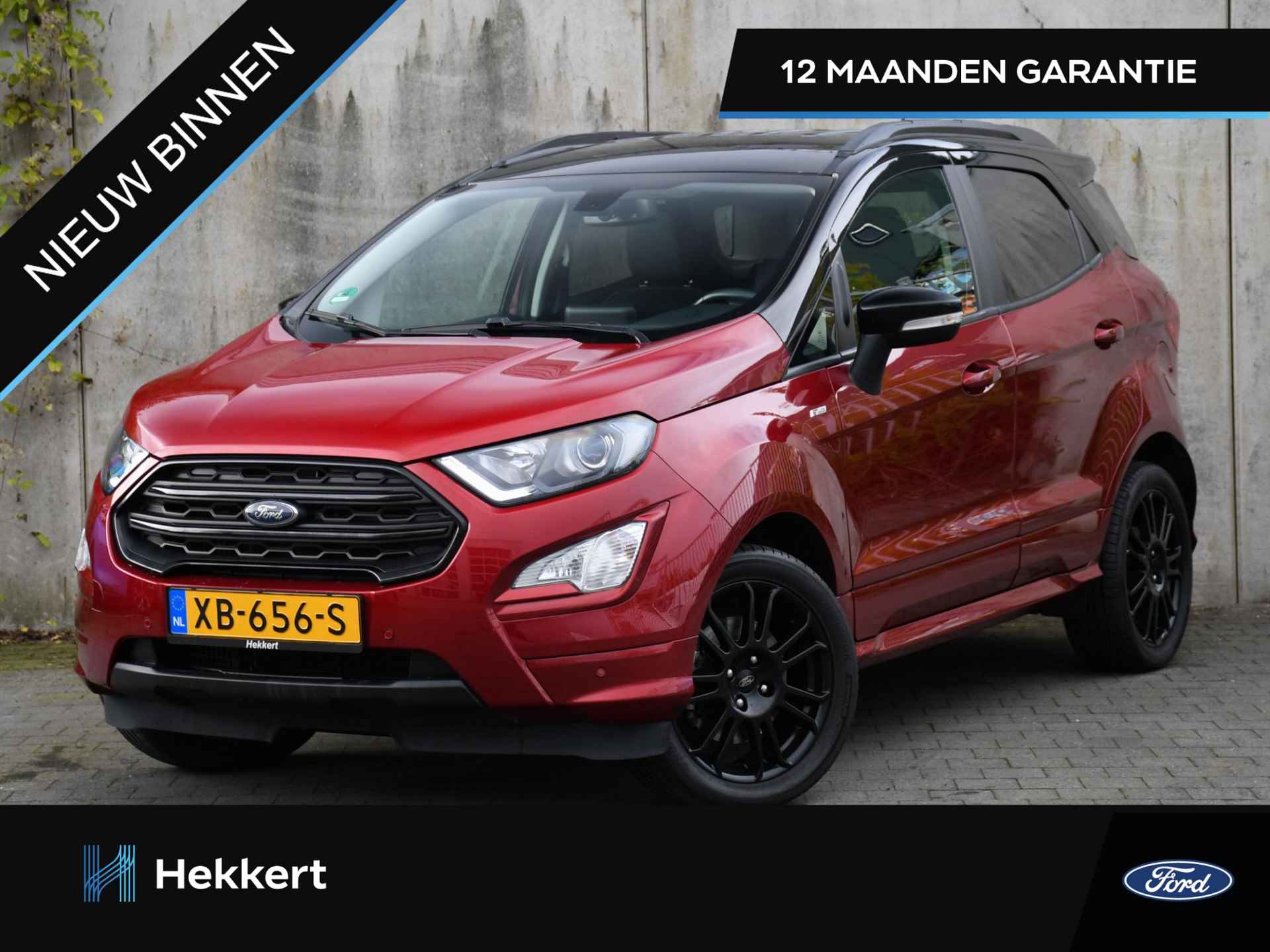 Ford EcoSport BOVAG 40-Puntencheck