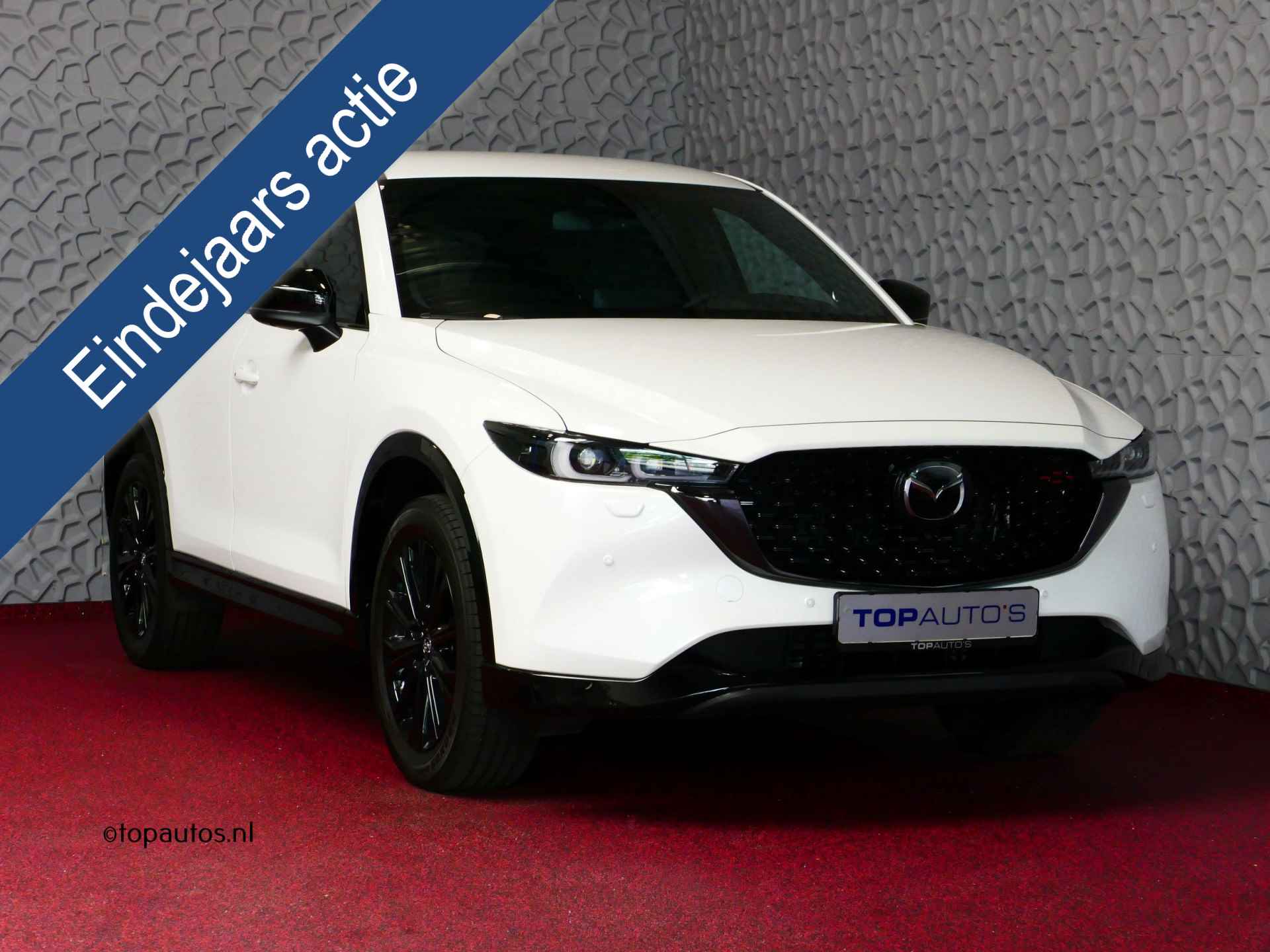 Mazda CX-5 BOVAG 40-Puntencheck