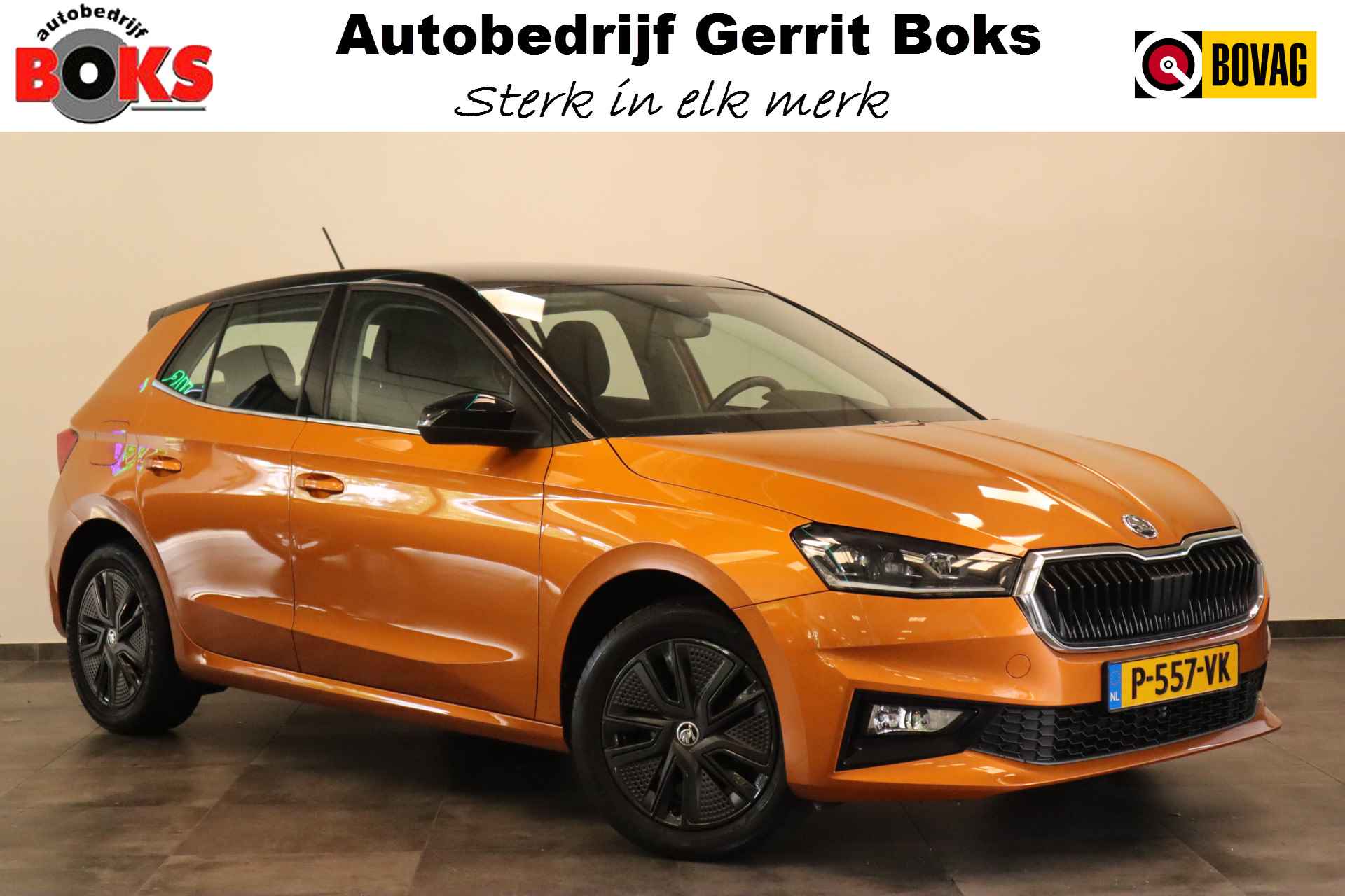 Škoda Fabia BOVAG 40-Puntencheck