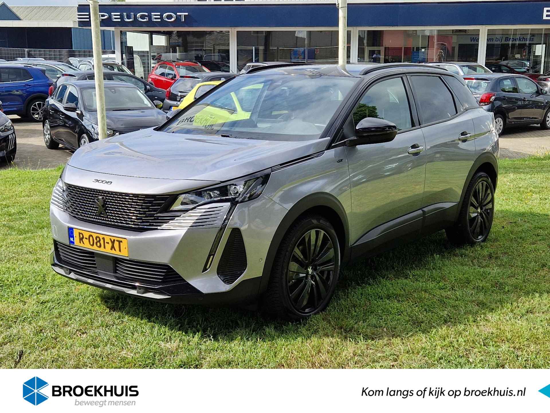 Peugeot 3008 BOVAG 40-Puntencheck