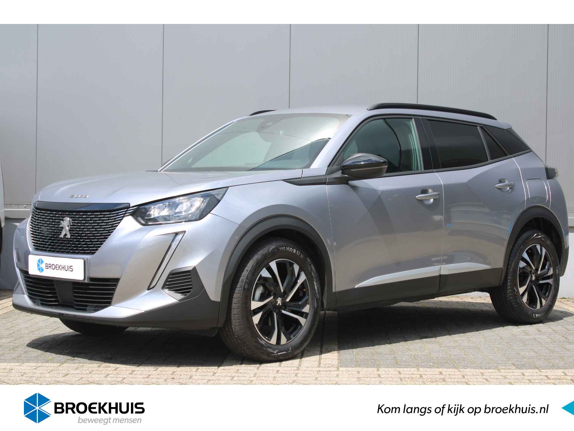 Peugeot 2008 BOVAG 40-Puntencheck