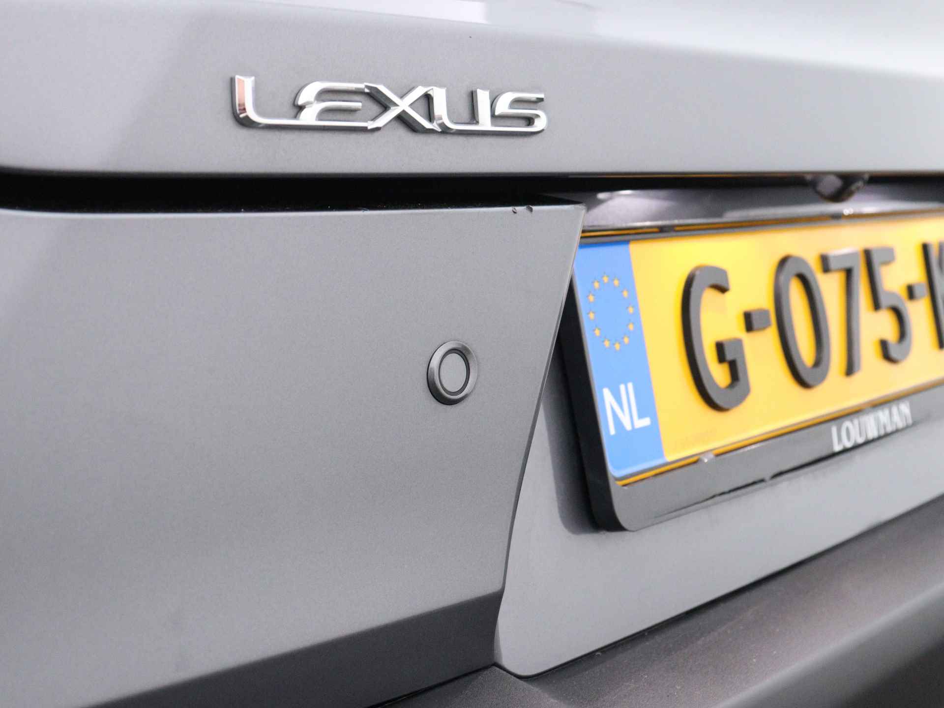 Lexus UX 250h F-Sport Premium | Trekhaak | Mark Levinson Audio | - 46/50