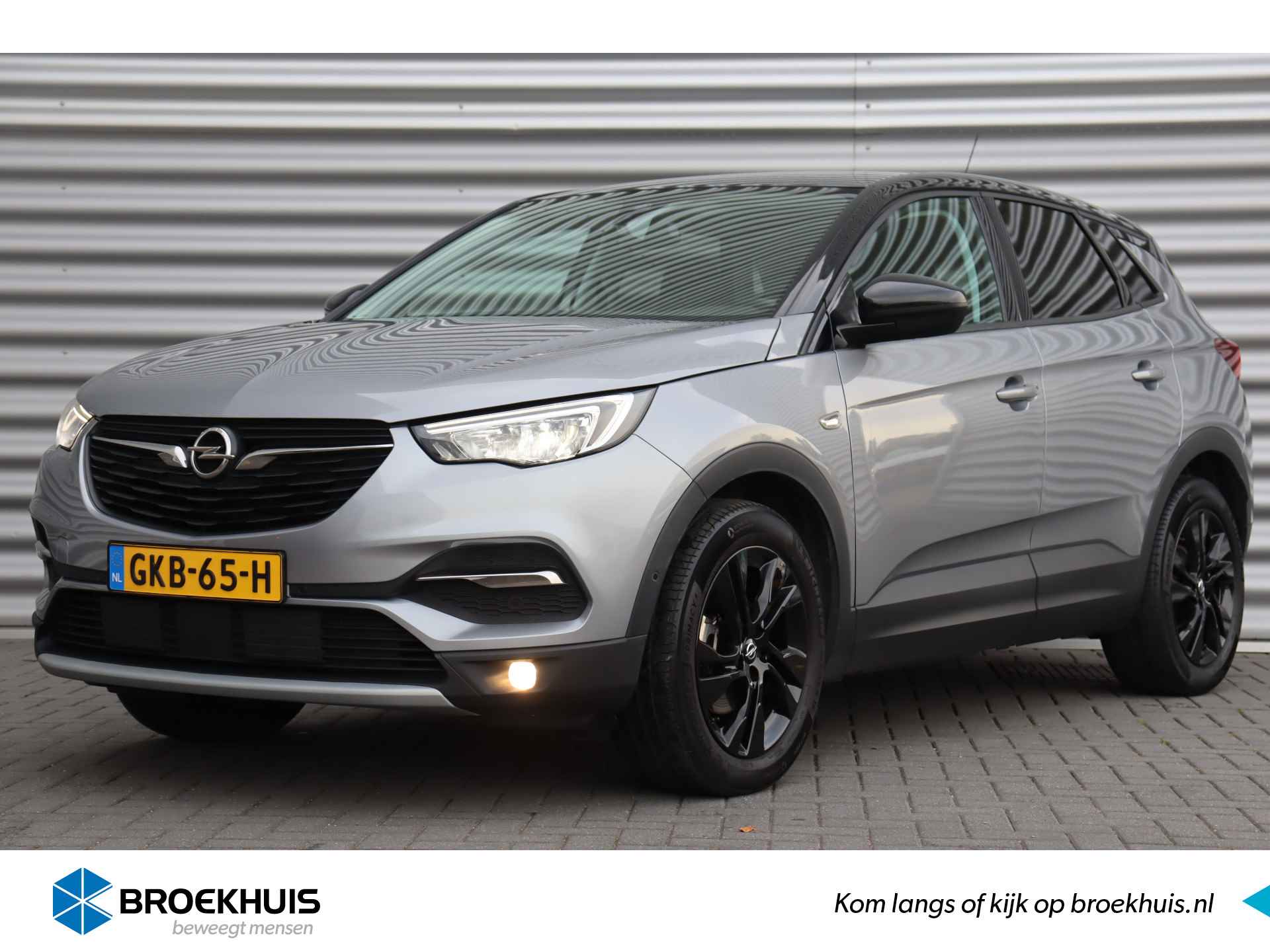 Opel Grandland X BOVAG 40-Puntencheck