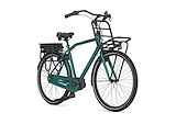 GAZELLE HeavyDutyNL C7+ HMB HEREN Thyme Green Glans 59cm 2024