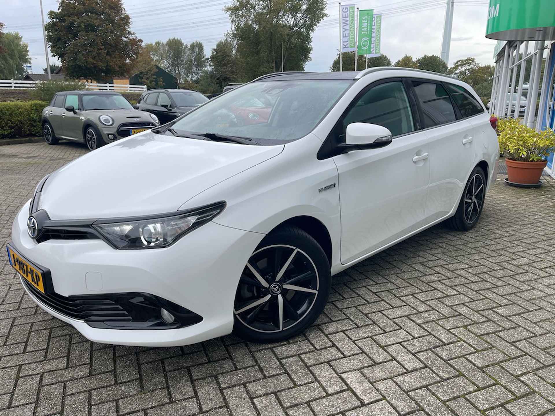 Toyota Auris BOVAG 40-Puntencheck