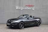 BMW 2 Serie Cabrio 220i M Sport Leer 19"