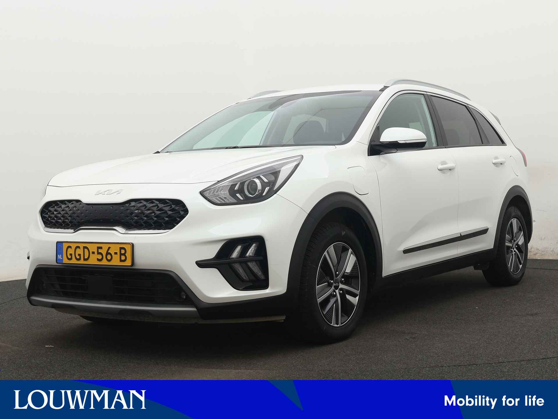 Kia Niro BOVAG 40-Puntencheck