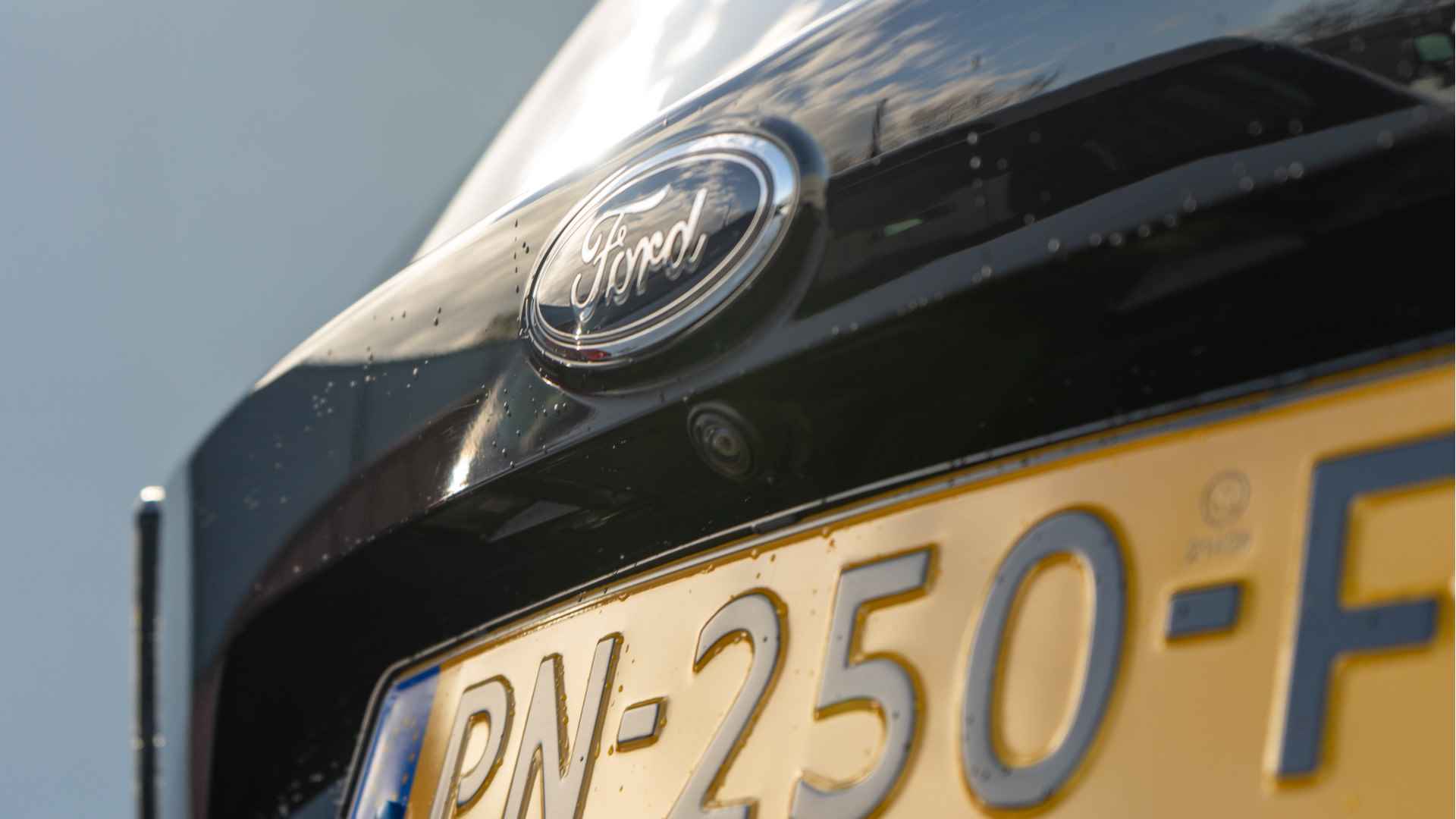 Ford Kuga 1.5 EcoBoost Titanium | Elektrisch bedienbare achterklep | Winterpack | Parking Pack | Dealer Auto - 12/25