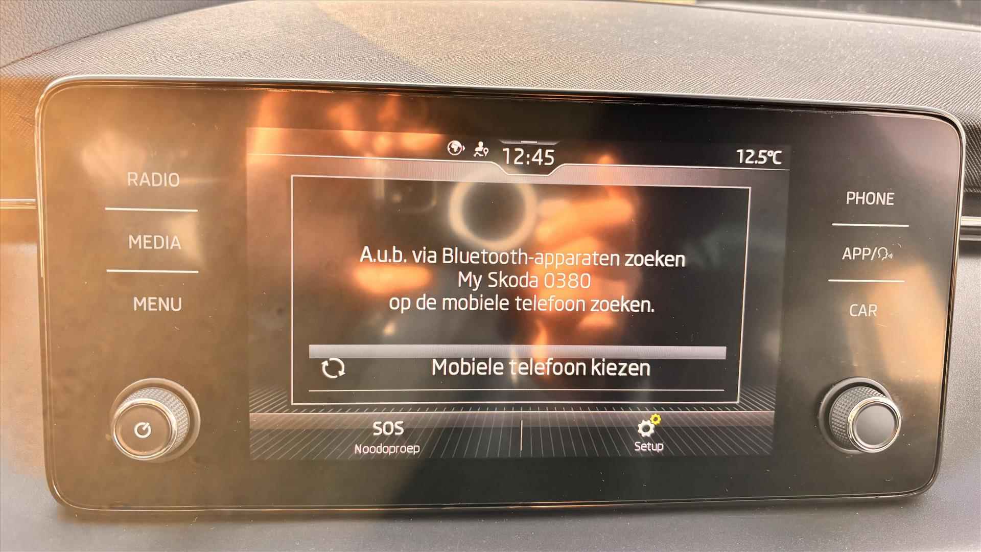 SKODA Scala 1.0 TSI Greentech 116pk Ambition apple carplay - 25/32