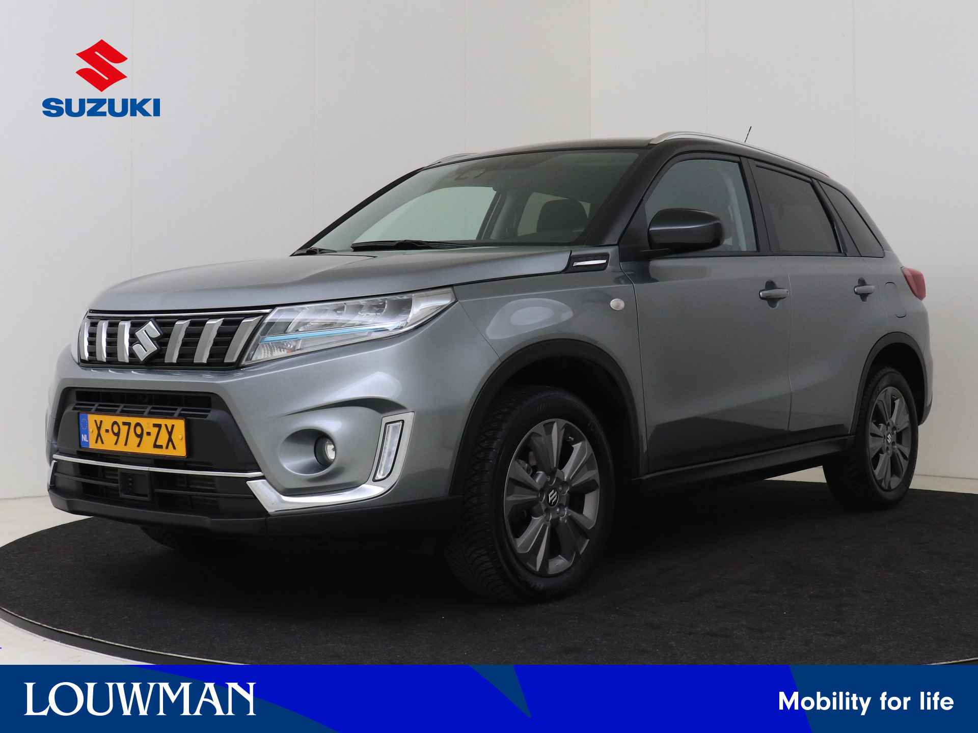 Suzuki Vitara BOVAG 40-Puntencheck