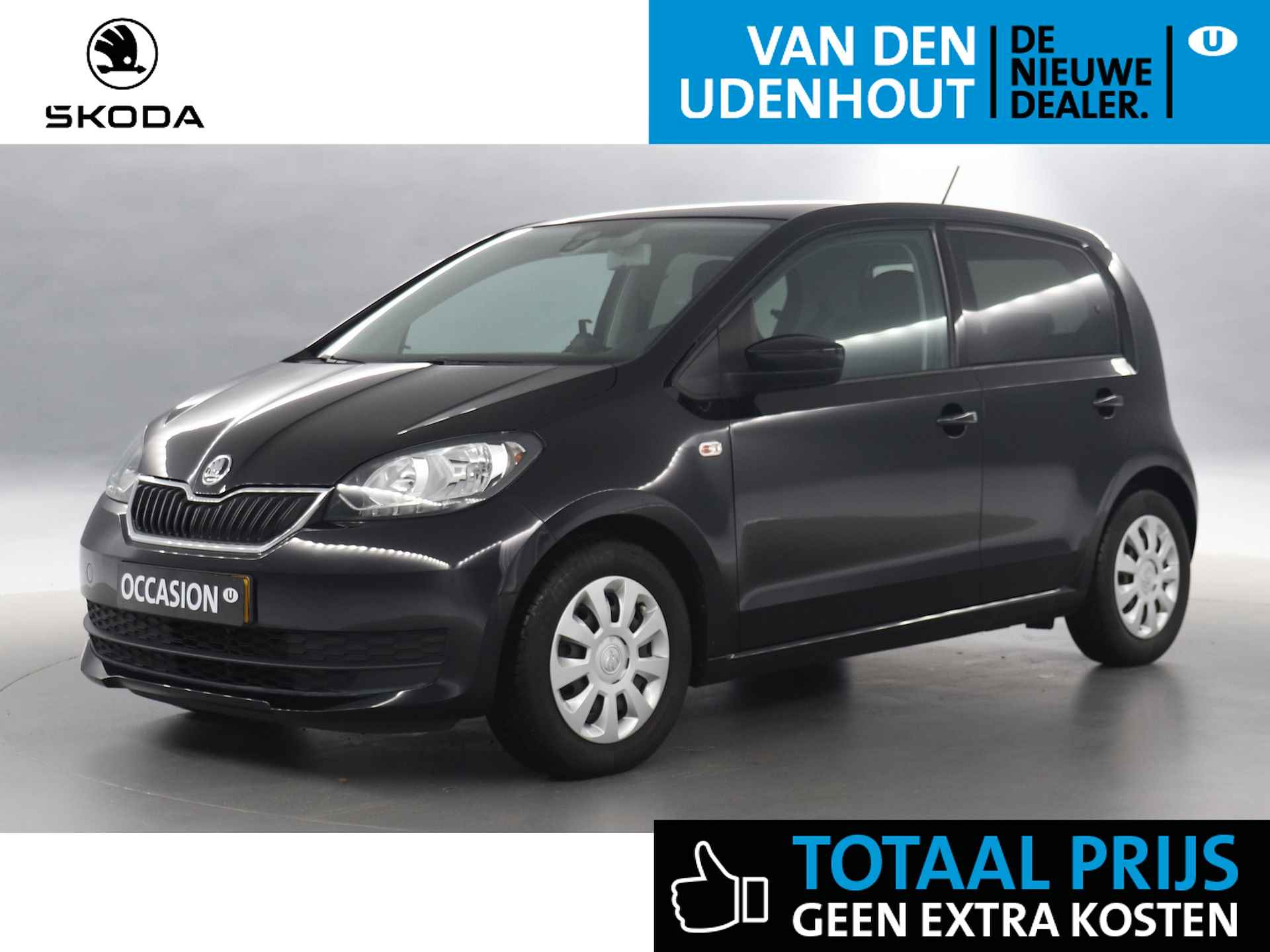 Škoda Citigo BOVAG 40-Puntencheck