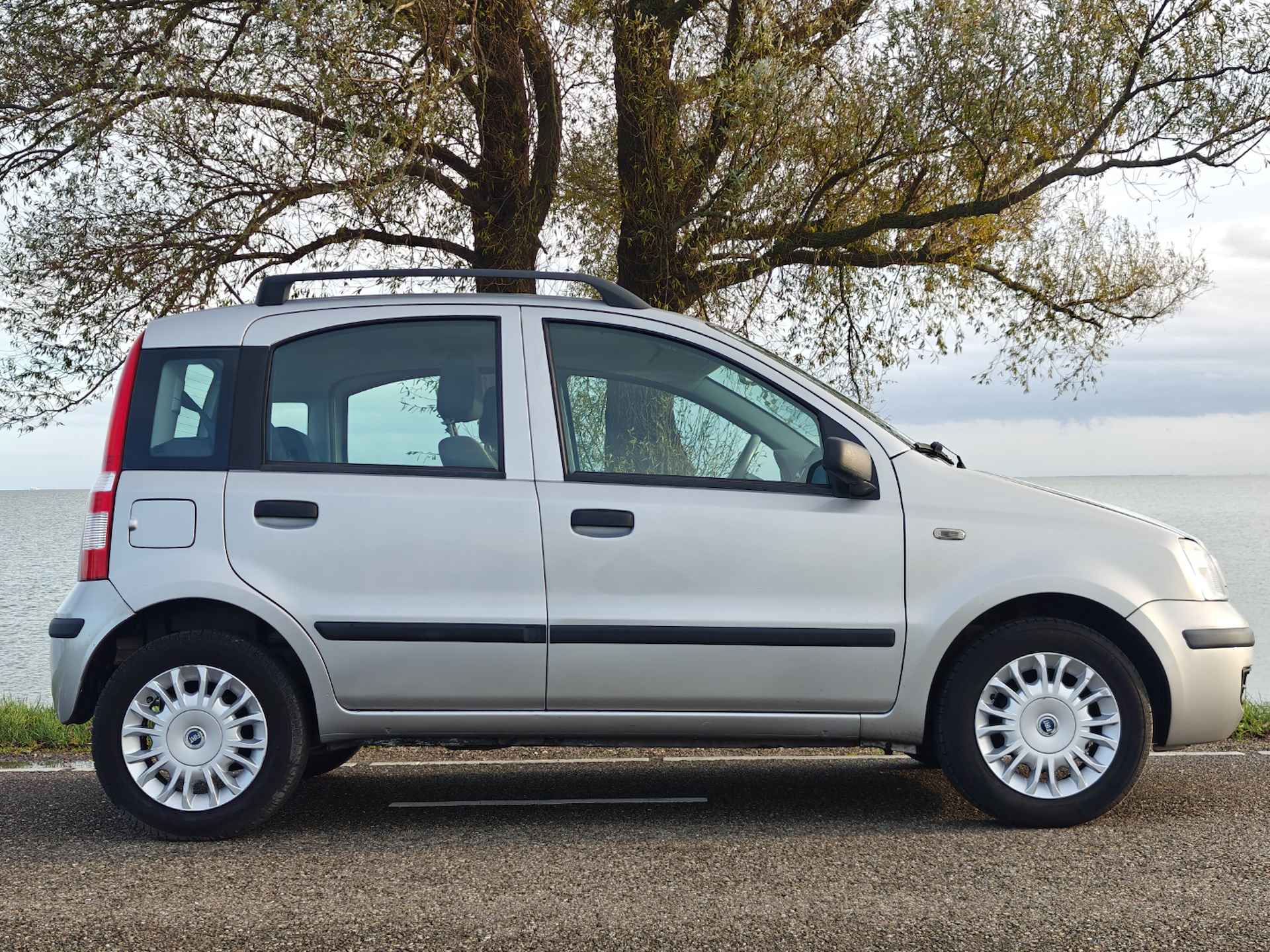 Fiat Panda 1.2 Dynamic - 6/19