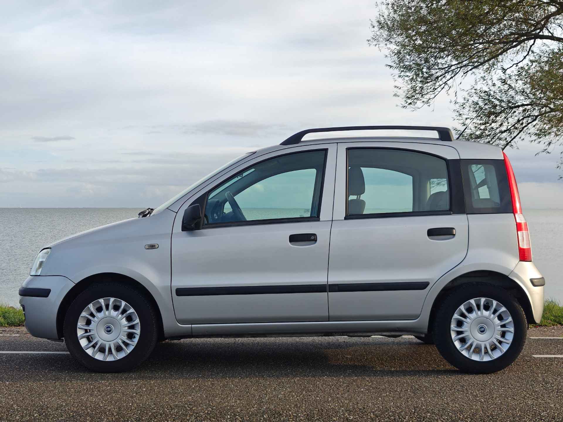 Fiat Panda 1.2 Dynamic - 16/19