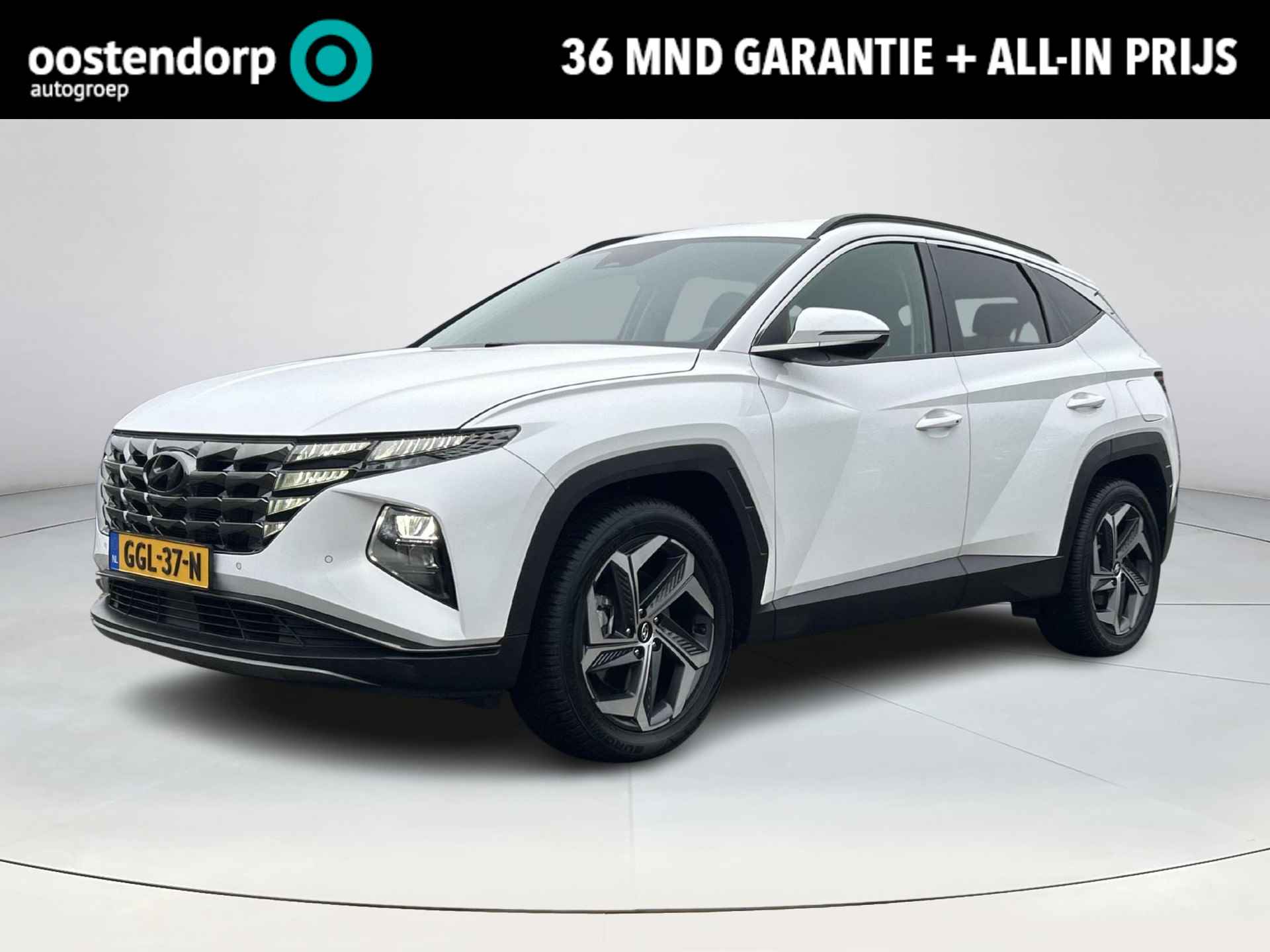 Hyundai Tucson BOVAG 40-Puntencheck