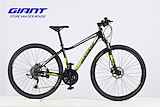 Giant Rove 2 Disc Dames Coffee S 2014