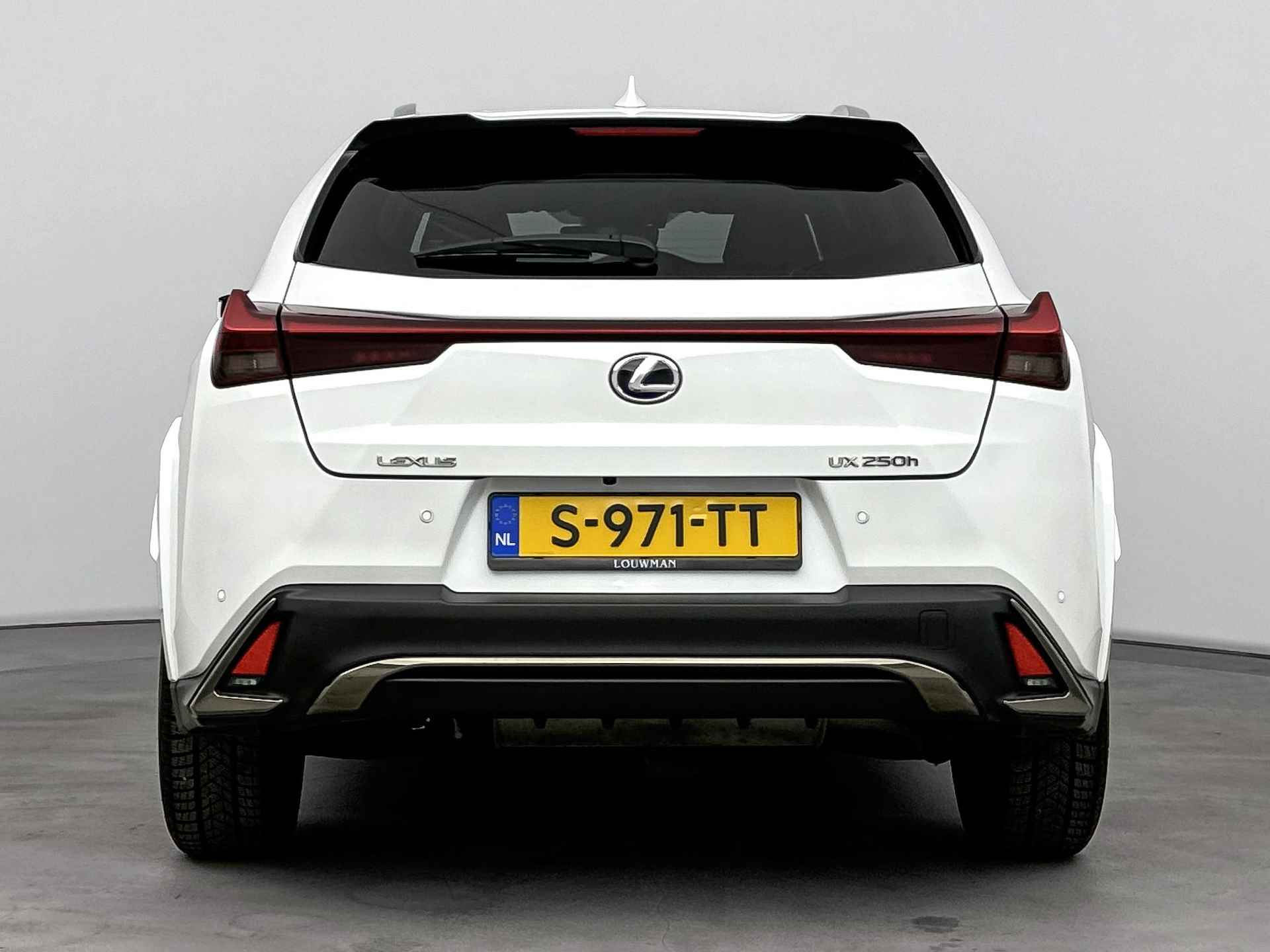 Lexus UX 250h AWD F Sport Premium Limited | Adaptief Dempingsysteem | Elektrische Achterklep | Premium Navigatie | - 18/41