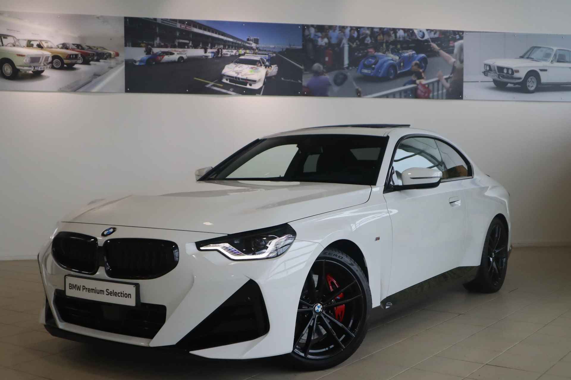 BMW 2 Serie Coupé 220i High Executive / M Sportpakket / Schuif-kantel dak / Harman Kardon - 19/19